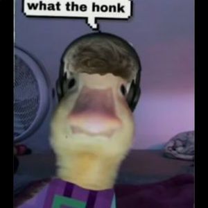 Meet your Posher, Cameron